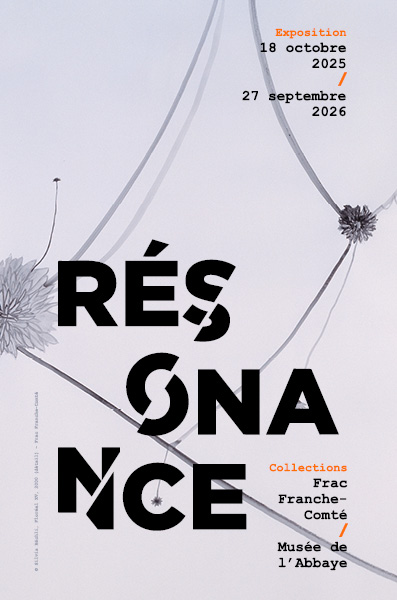 Musée de l'Abbaye Saint-Claude Exposition  Résonance