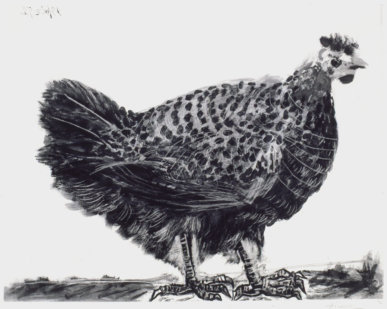 pablo-picasso-la-poule-1952